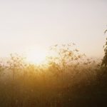 What Helps with Insomnia: Science-Backed Fixes That Actually Work